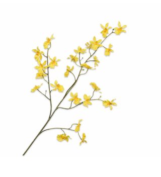 Cành hoa Orchid màu vàng 139712S