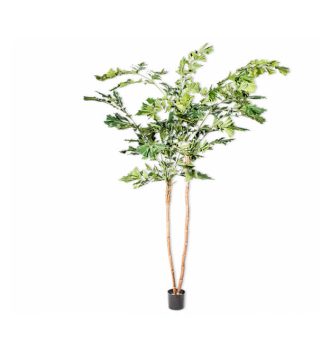 Cây Palm Green 122699S