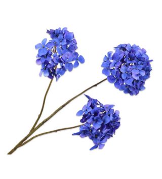 Cành Hoa Blossom