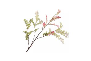 Cành Hoa Leaf Xanh Hồng 107