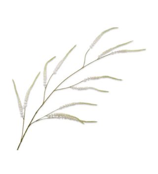 Cành Hoa Spiraea Màu Trắng