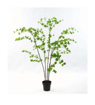 Cây Plant Green Nhỏ