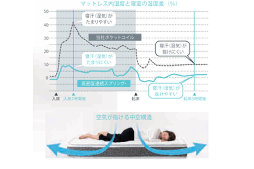 nem-lo-xo-tokybed-cao-290-2