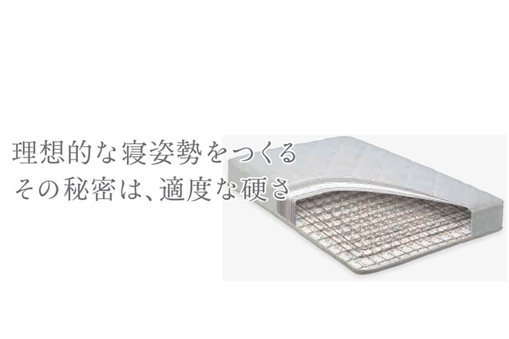 nem-lo-xo-tokybed-cao-290-3