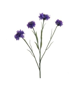 Cành Hoa Bleuet 61Cm