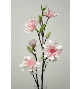 Cành Hoa Magnolia Cream