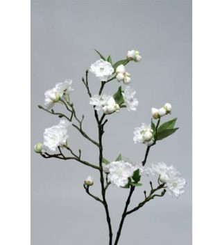 Cành Hoa Peach Blossom