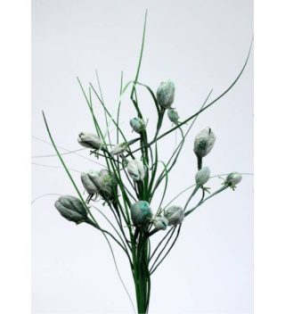Cành Hoa Tulip Bud