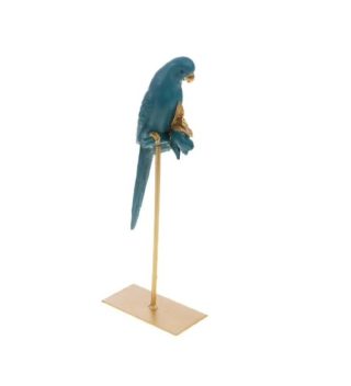 Chim Parrot Trang