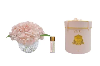 Hoa Tinh Dầu Hydrangeas