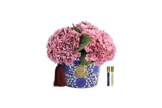 Hoa Tinh Dầu Oriental Hydrangeas – Pink