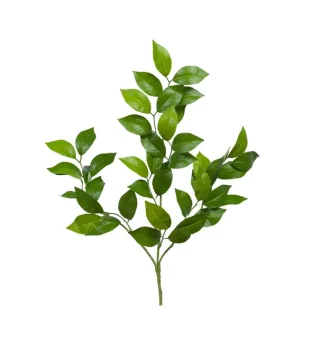 Cành Lá Camellia